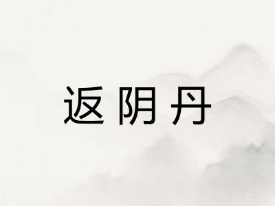 返阴丹