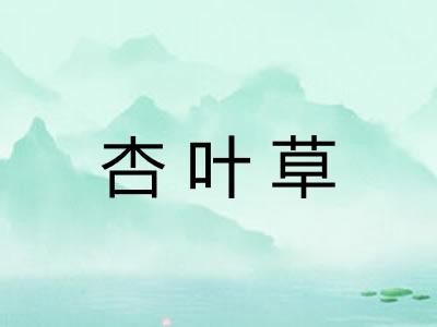 杏叶草