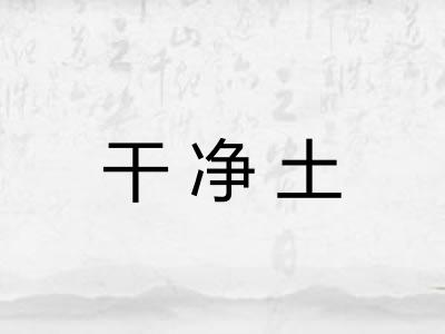 干净土
