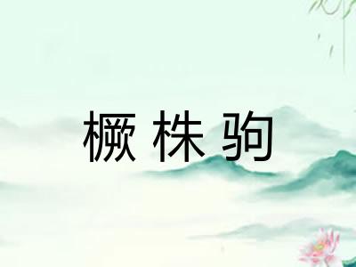 橛株驹
