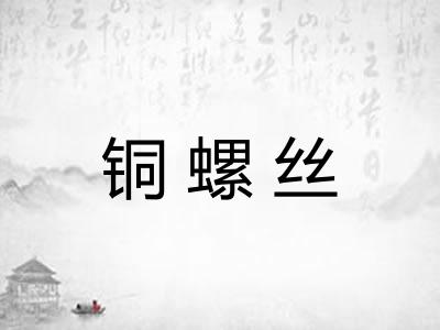 铜螺丝
