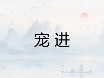 宠进
