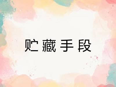 贮藏手段