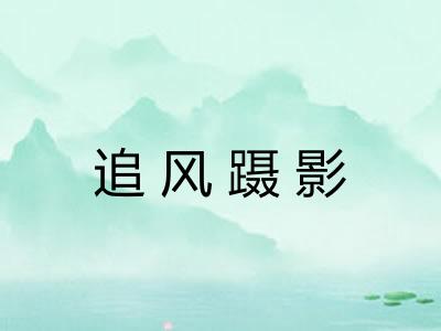 追风蹑影