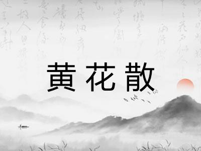 黄花散
