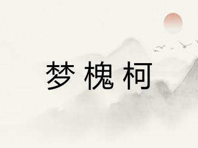 梦槐柯