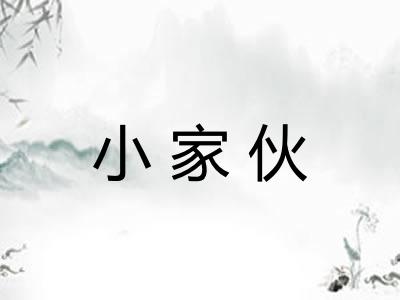 小家伙