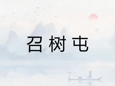 召树屯