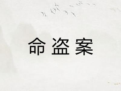 命盗案