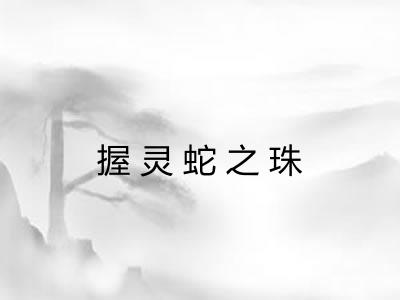 握灵蛇之珠