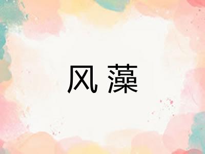 风藻