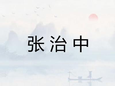 张治中