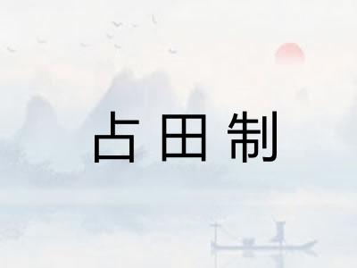 占田制