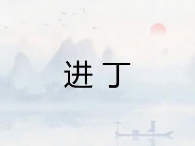进丁