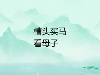 槽头买马看母子