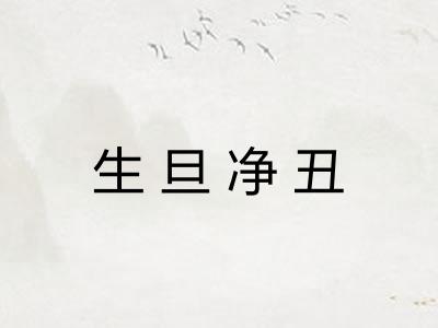 生旦净丑