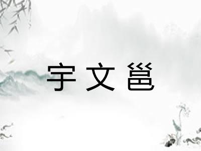 宇文邕
