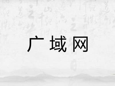 广域网
