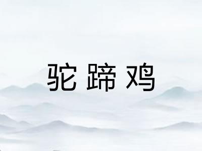 驼蹄鸡