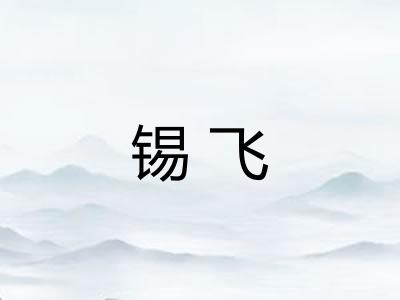 锡飞