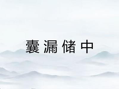 囊漏储中