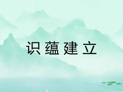 识蕴建立