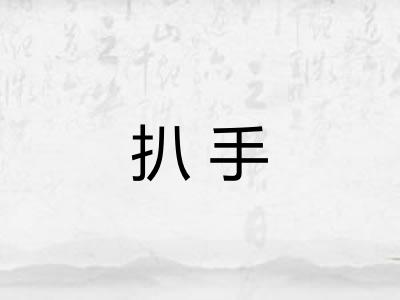 扒手