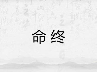 命终