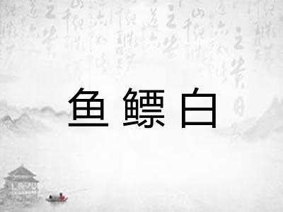鱼鳔白