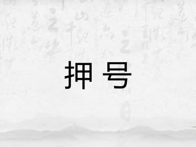 押号