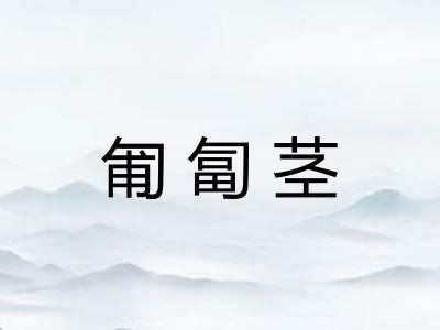 匍匐茎
