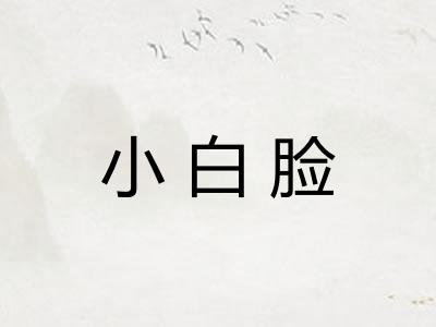 小白脸