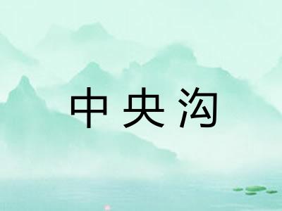 中央沟