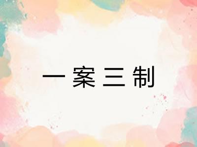 一案三制