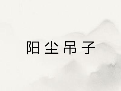 阳尘吊子