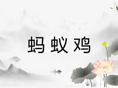 蚂蚁鸡