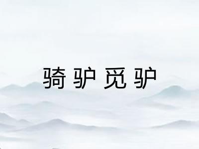骑驴觅驴