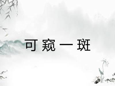 可窥一斑