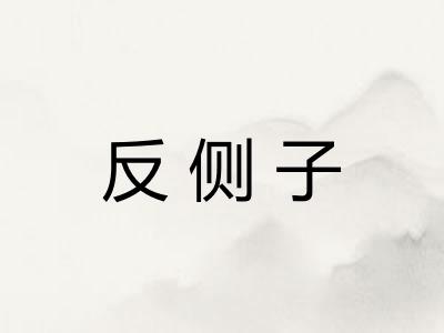 反侧子