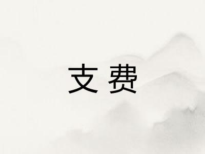 支费