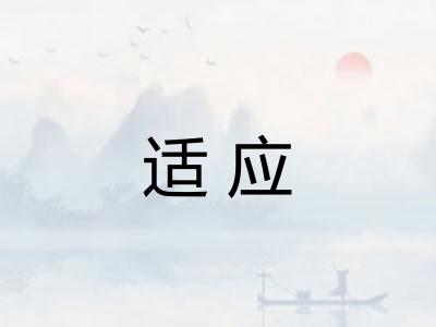 适应