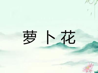 萝卜花