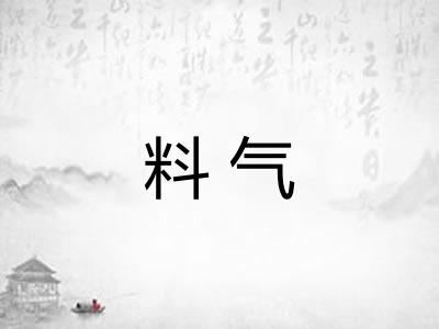 料气