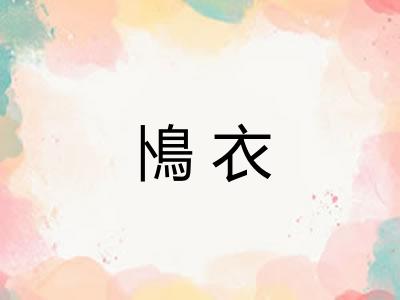 鳪衣