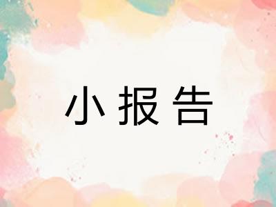 小报告