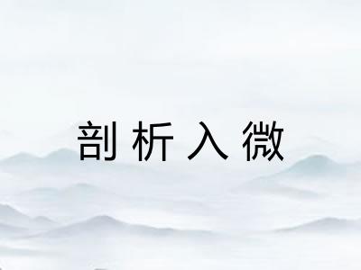 剖析入微