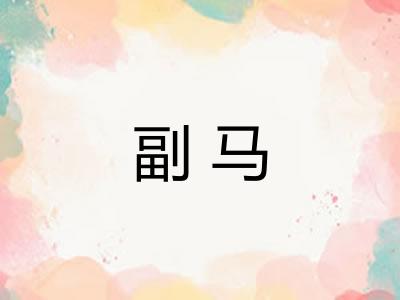 副马