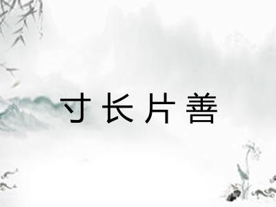寸长片善