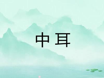 中耳