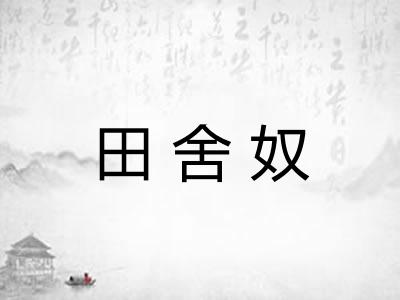 田舍奴